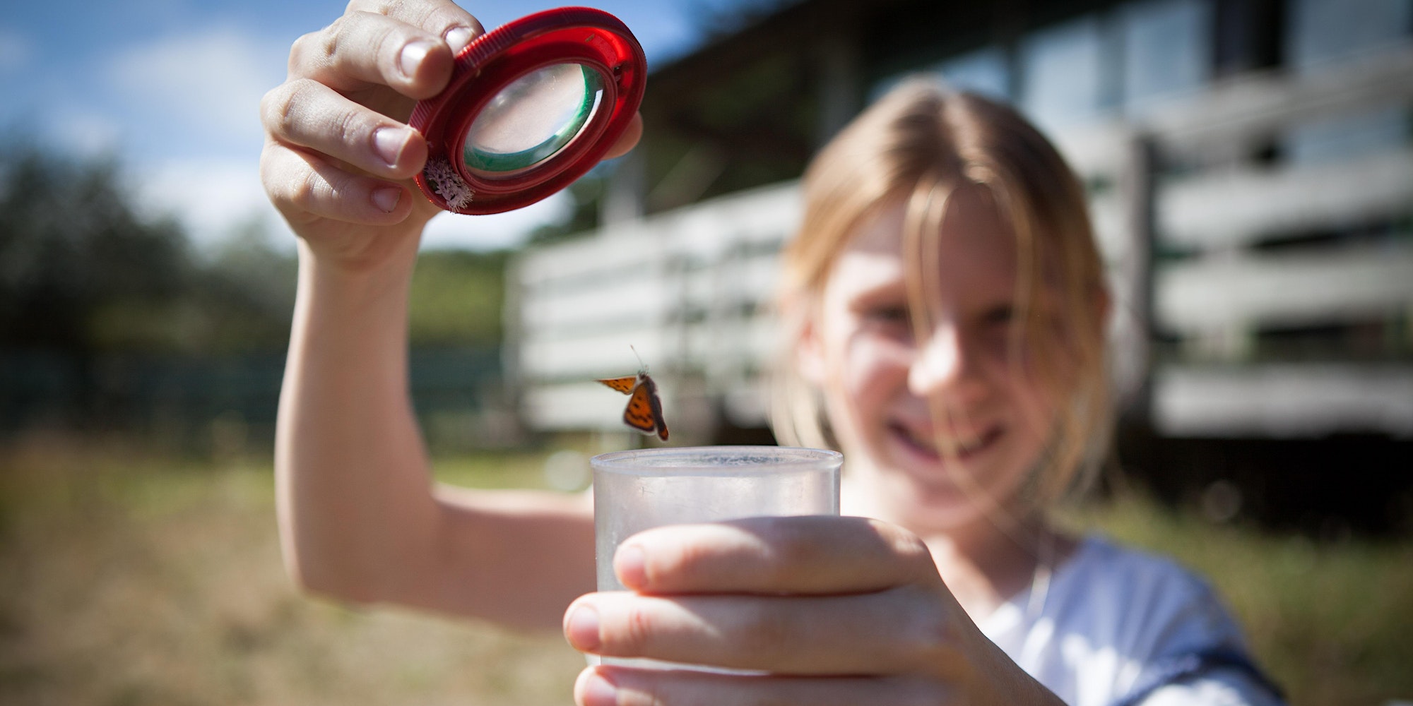 Girl with butterfly -  National Trust for Jersey Bug Safari