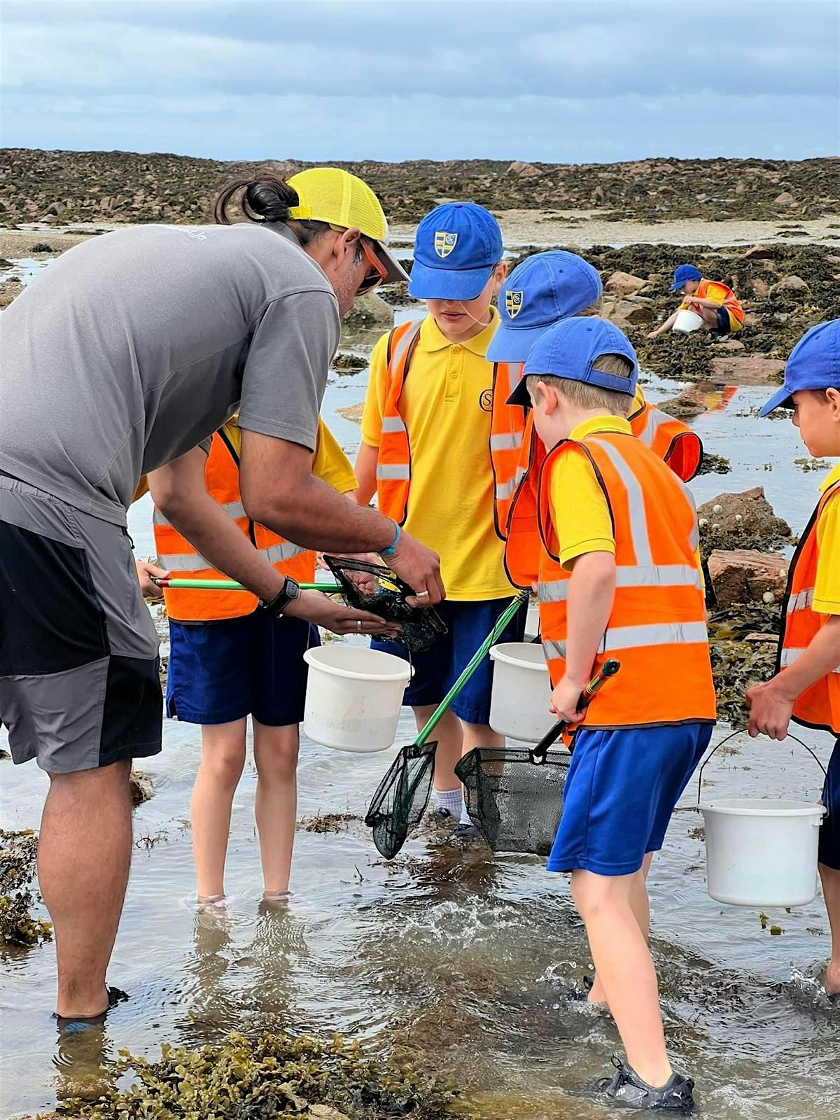 Group of children and a teacher looking at a net while rockpooling