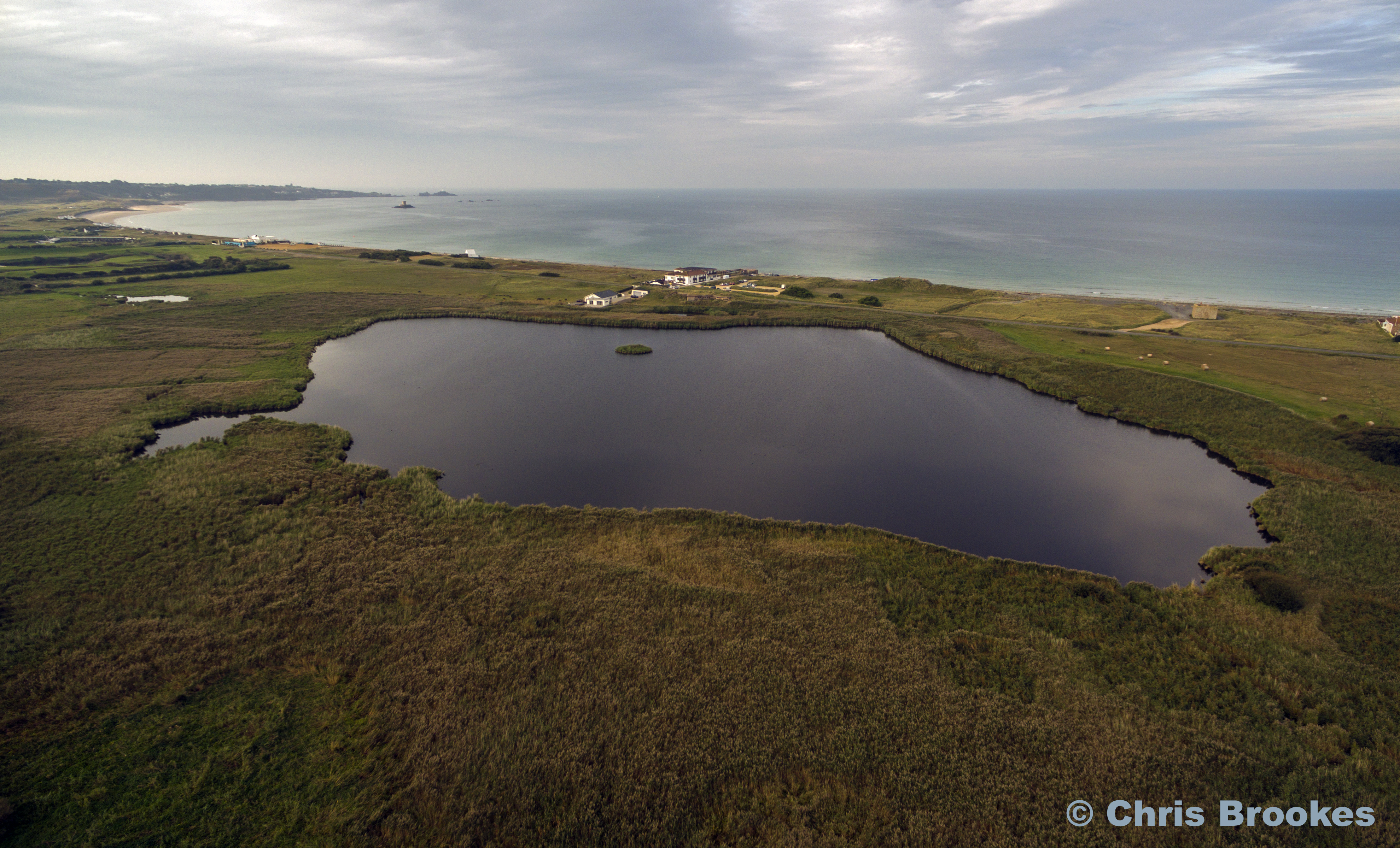 St Ouens Pond 4Th September 2015 (2)