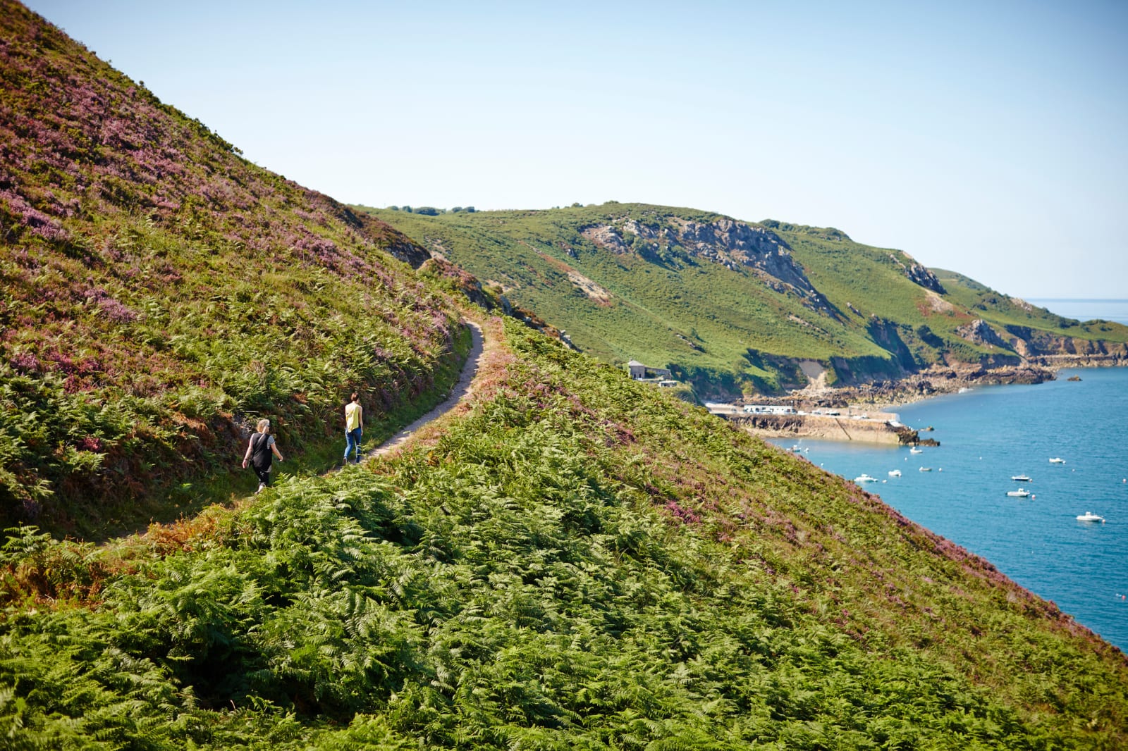 North Coast Headland